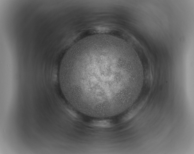 X0000111680553200907241235