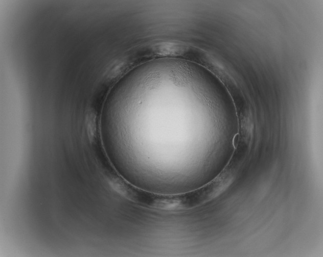 X0000111680554200907241235