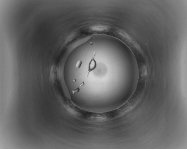 X0000111680559200907241235