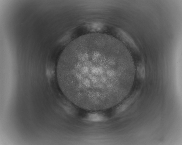 X0000111680561200907241235