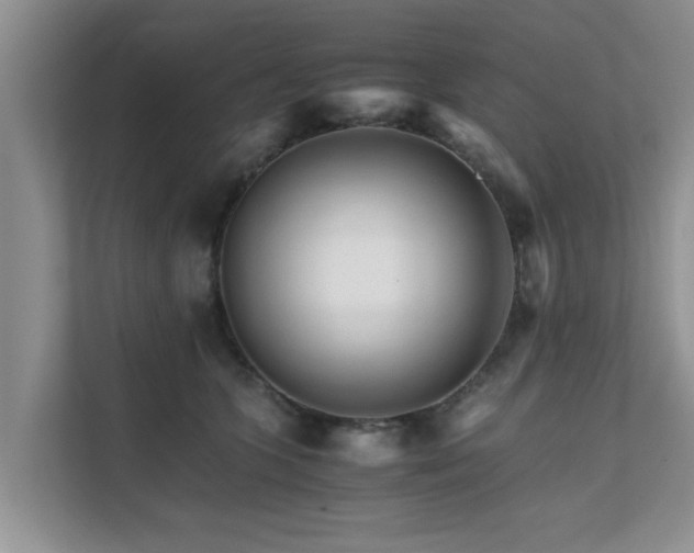 X0000111680563200907241235