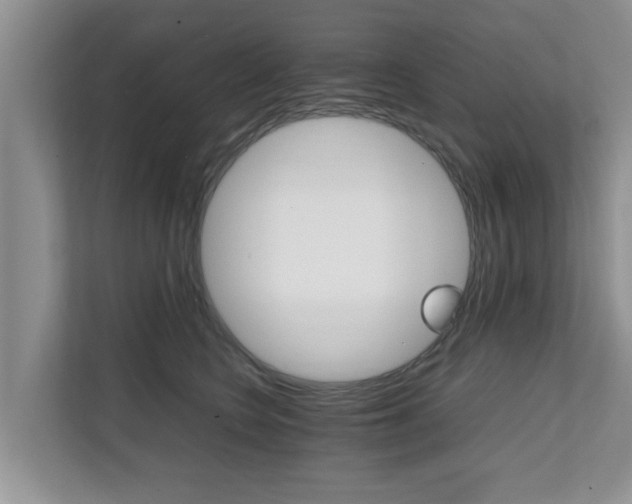 X0000111680566200907241235