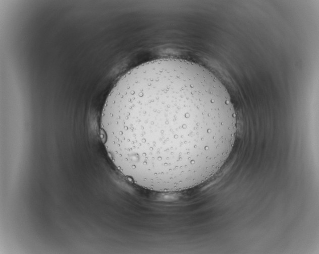 X0000111680573200907241235