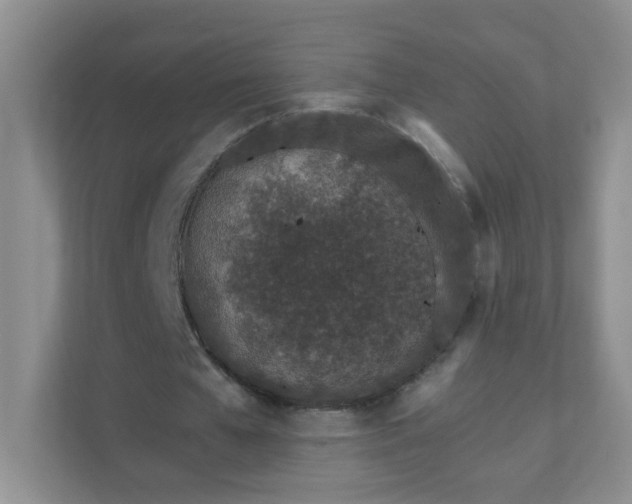 X0000111680577200907241235