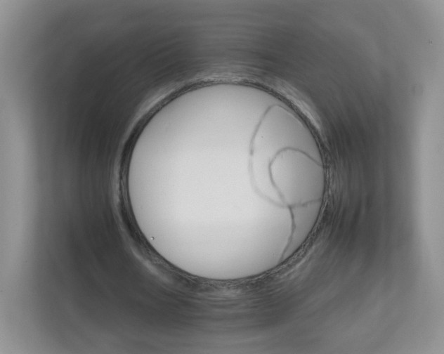 X0000111680578200907241235