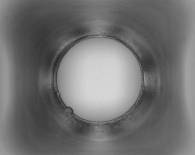 X0000111680579200907241235