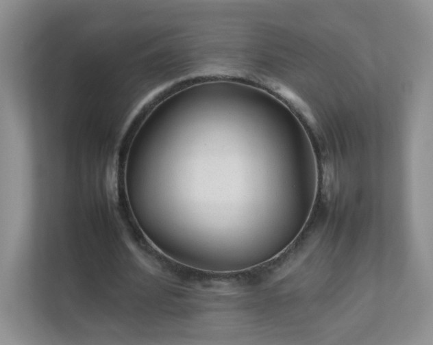 X0000111680580200907241235