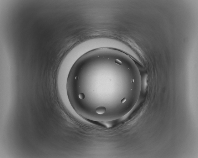 X0000111680585200907241234