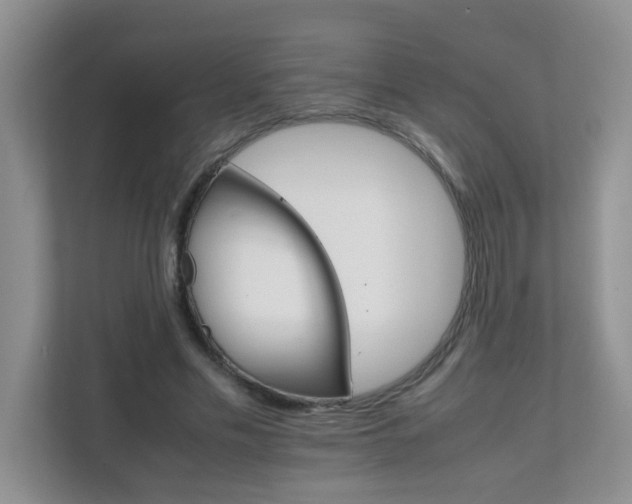 X0000111680589200907241234