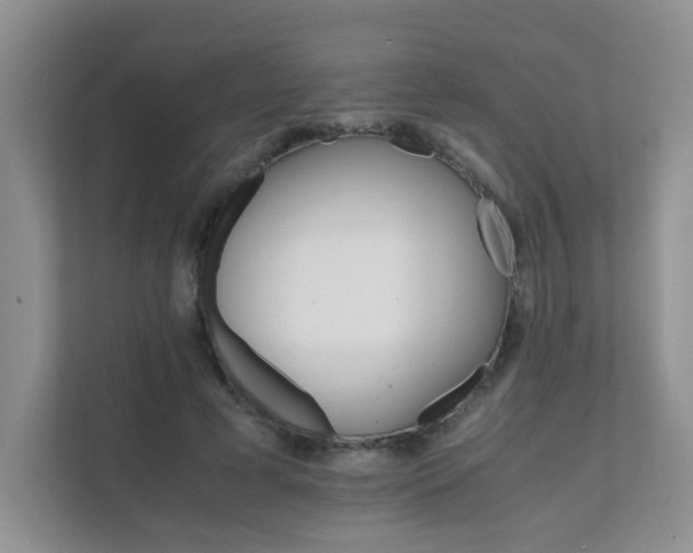 X0000111680593200907241234