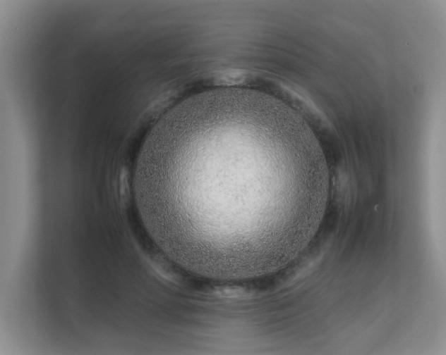 X0000111680598200907241234