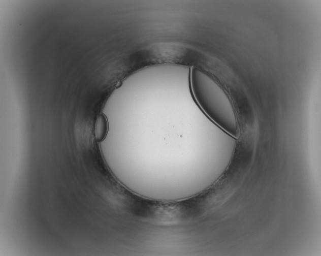 X0000111680599200907241234