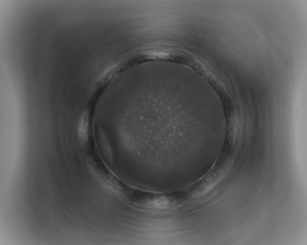 X0000111680600200907241234