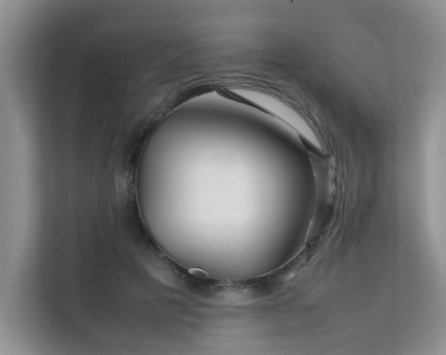 X0000111680601200907241234