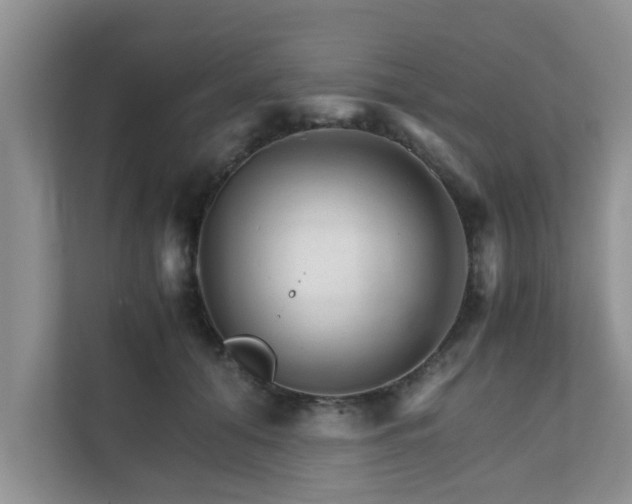 X0000111680608200907241234