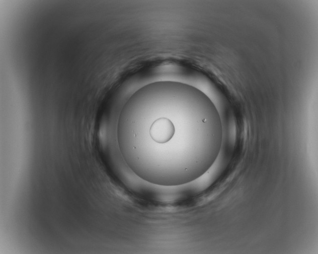 X0000111680613200907241234