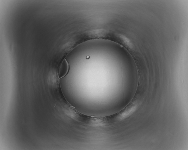 X0000111680624200907241234