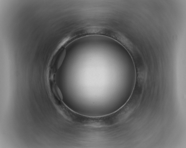 X0000111680626200907241233