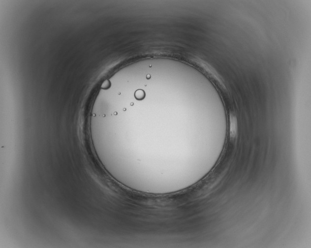 X0000111680627200907241233