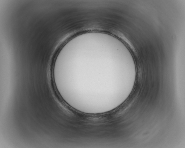 X0000111680629200907241233