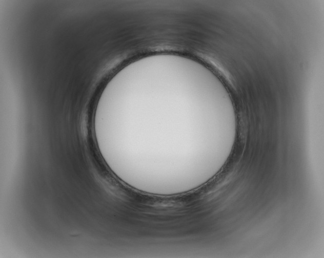 X0000111680631200907241233