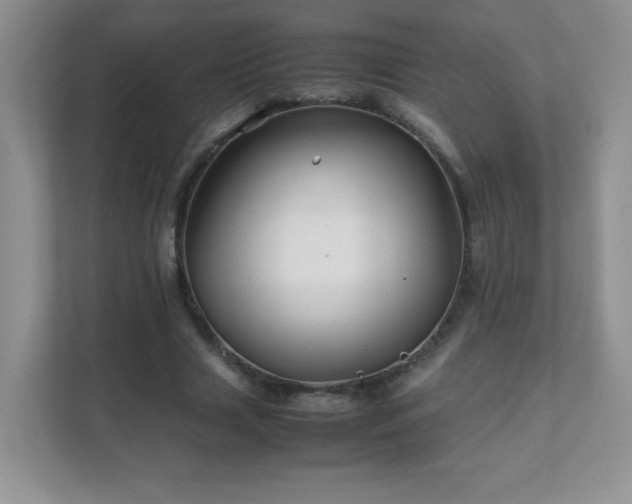 X0000111680633200907241233