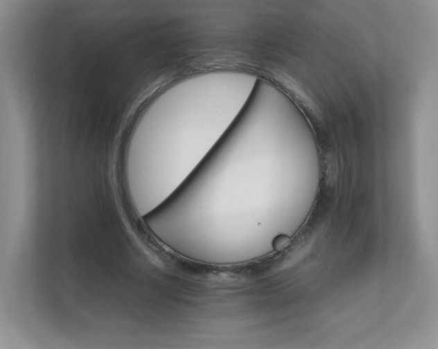 X0000111680634200907241233