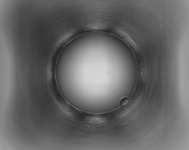 X0000111680635200907241233