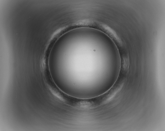 X0000111680636200907241233