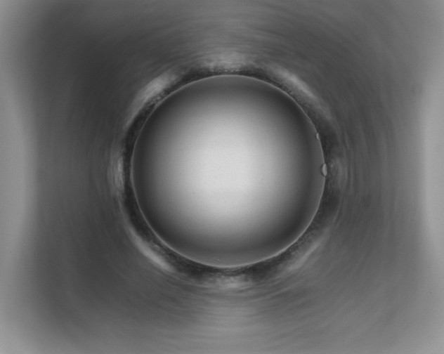 X0000111680638200907241234