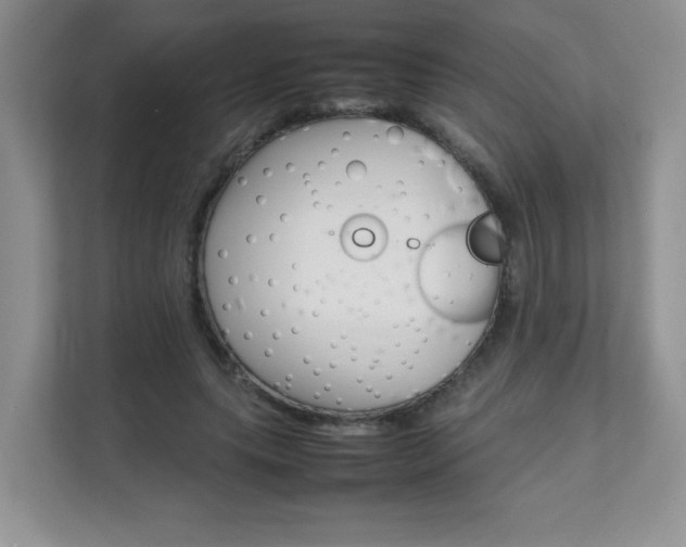 X0000111680639200907241234