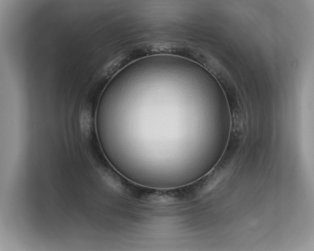 X0000111680648200907241234