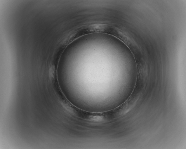 X0000111680649200907241234