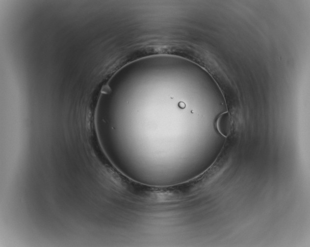 X0000111680650200907241234