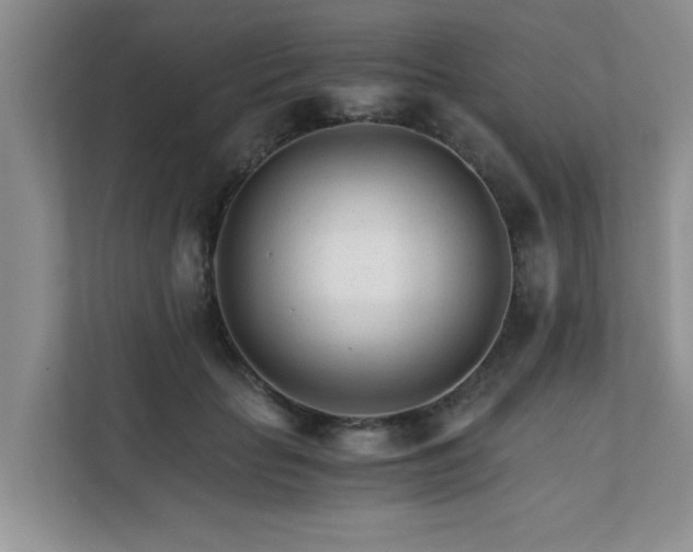 X0000111680653200907241234