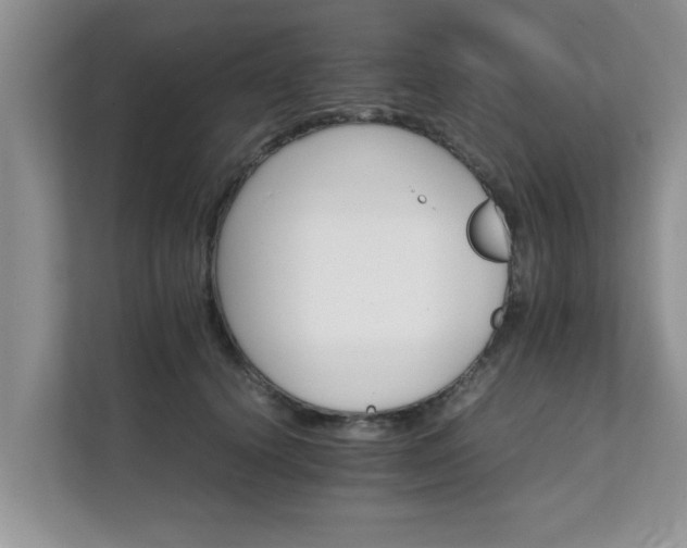 X0000111680656200907241234