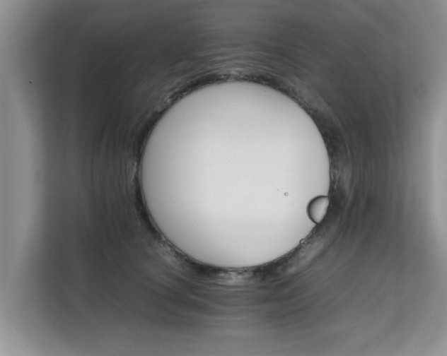 X0000111680660200907241234