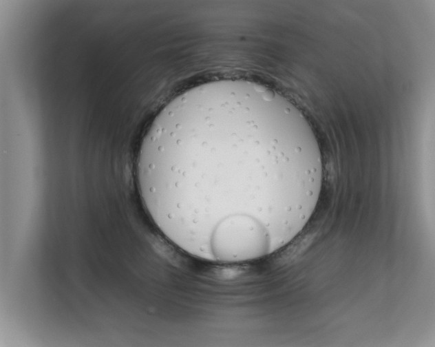 X0000111680662200907241234