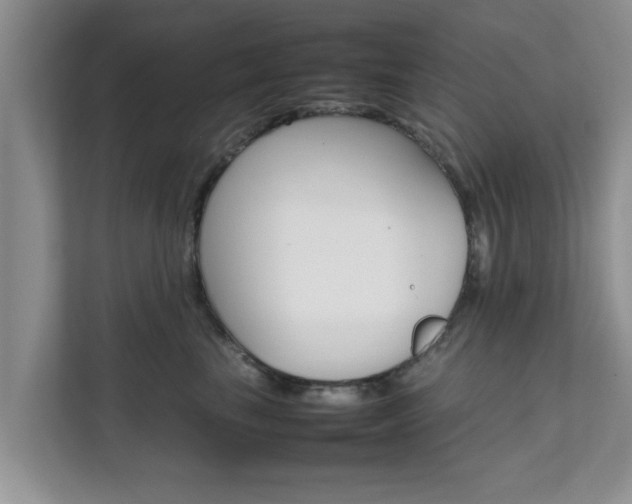 X0000111680665200907241234