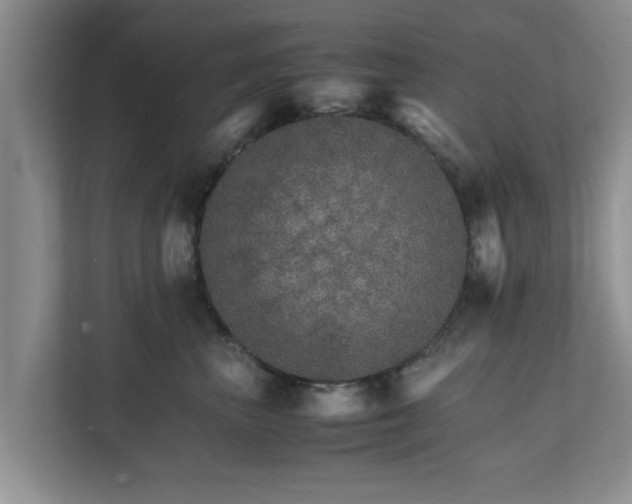 X0000111680667200907241234