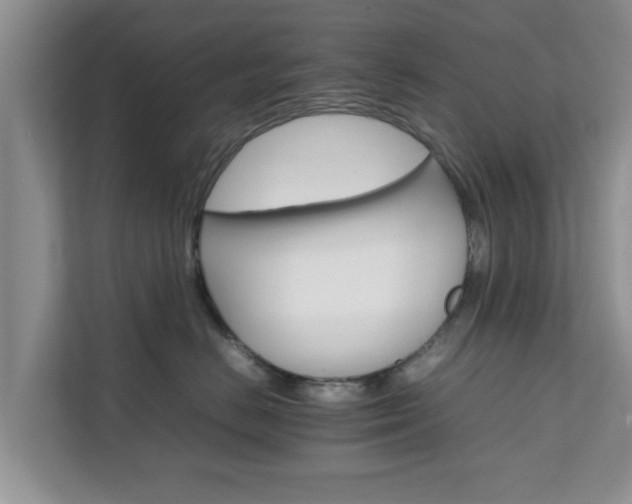 X0000111680670200907241234