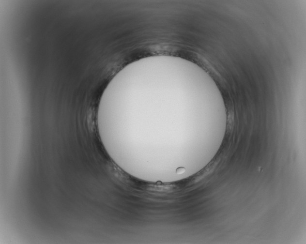 X0000111680671200907241234