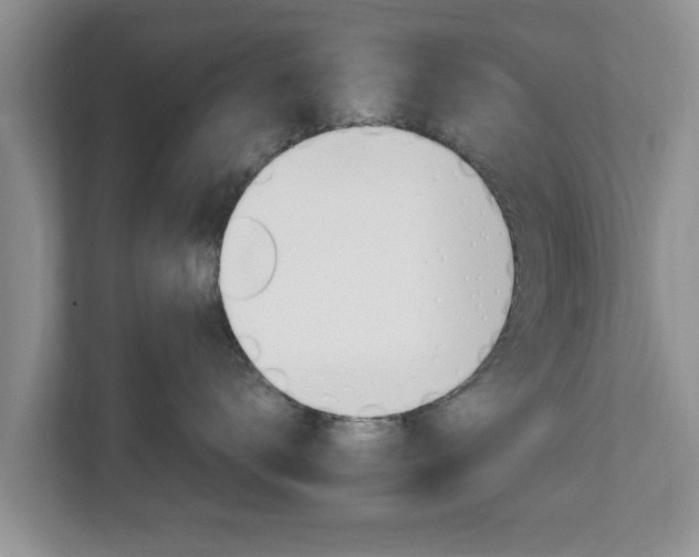 X0000111680672200907241234