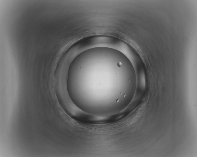 X0000111680673200907241233