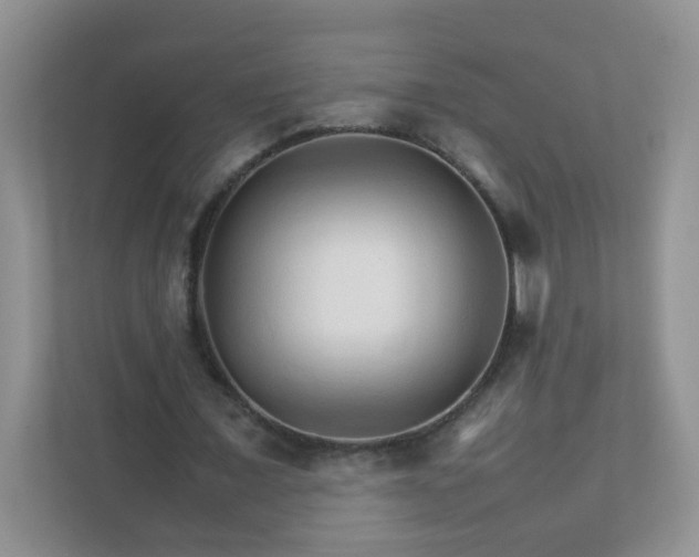 X0000111680675200907241233