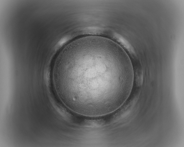 X0000111680679200907241233