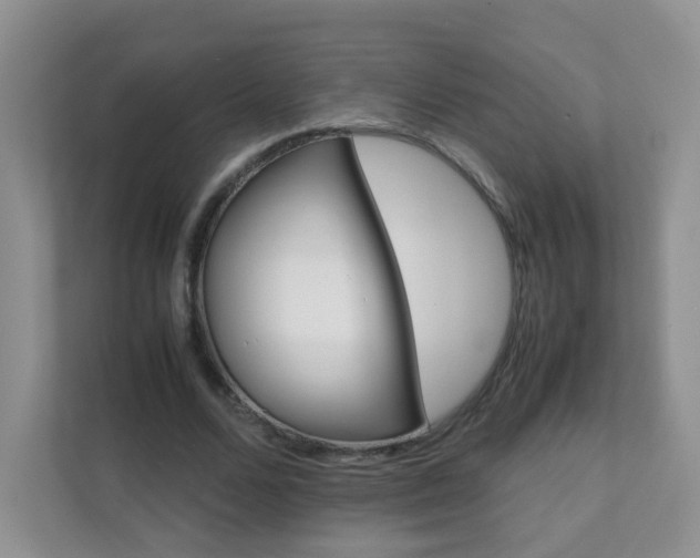 X0000111680680200907241233