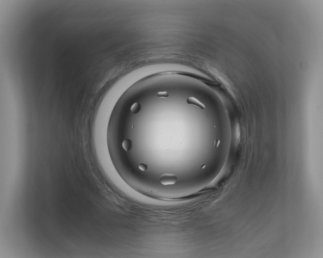 X0000111680681200907241233