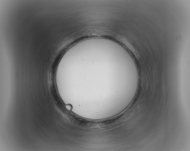 X0000111680683200907241233