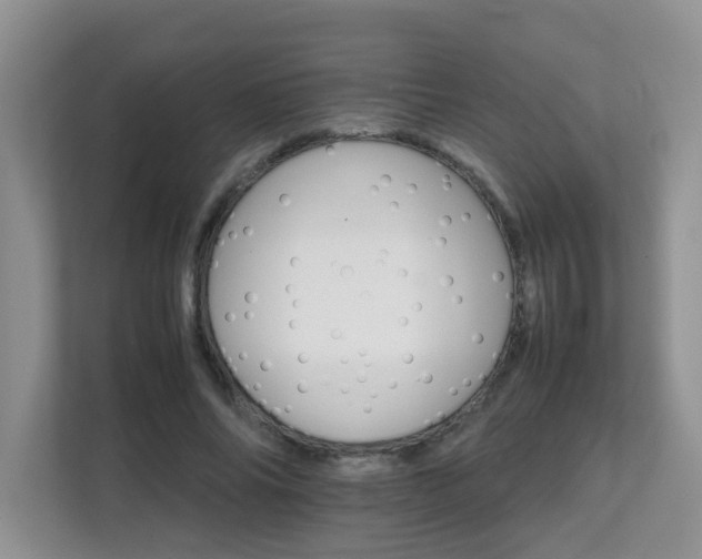 X0000111680686200907241233